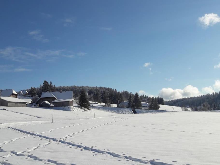 Haus Lucia, Mit Pool Und Sauna, Appartment 4 Schönwalde Eksteriør bilde